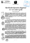 Vista preliminar de documento RER 213-2025-GOB