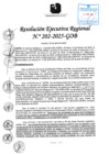 Vista preliminar de documento RER 202-2025-GOB