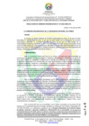 Vista preliminar de documento RCO N° 157-2025