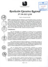 Vista preliminar de documento RER 196-2025-GOB