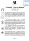 Vista preliminar de documento RER 187-2025-GOB