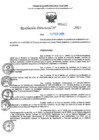 Vista preliminar de documento RD N°000452-2025-UGELJ
