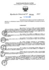 Vista preliminar de documento RD N°000495-2025-UGELJ
