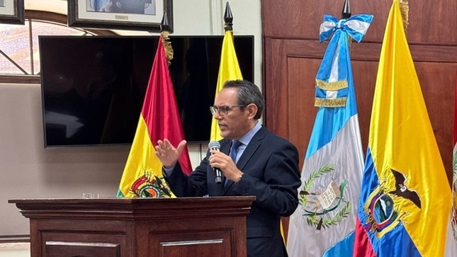 Vicepresidente del TC Helder Domínguez brinda conferencia en Guatemala sobre “los tribunales constitucionales en el funcionamiento de las democracias en países con sistemas presidencialistas de América Latina”