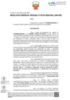 Vista preliminar de documento RGR-001074-2025 DENEGAR ROBERTO CARASAS GONZALES