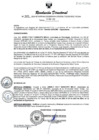 Vista preliminar de documento RESOLUCION DIRECTORAL N° 339-2024
