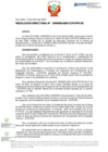 Vista preliminar de documento RD Nº D000029-2025-DE