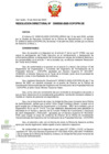 Vista preliminar de documento RD Nº D000030-2025-DE