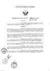 Vista preliminar de documento 2134