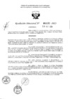 Vista preliminar de documento 2172