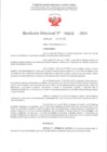 Vista preliminar de documento R.D. 626