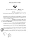 Vista preliminar de documento 2182