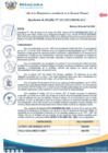Vista preliminar de documento R.A Nº 222-2025