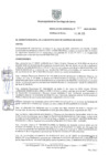 Vista preliminar de documento Resolución Nº 0311-2025-GM-MSS