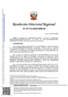 Vista preliminar de documento RDR-1114-2025-DRELM
