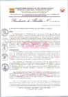 Vista preliminar de documento RA-547-2024