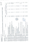 Vista preliminar de documento APROBACIÓN DE MODIFICACIONES AL CUADRO MULTIANUAL DE NECESIDADES N°000000043 (ANEXO N°06).