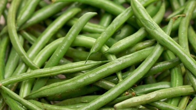 MIDAGRI 