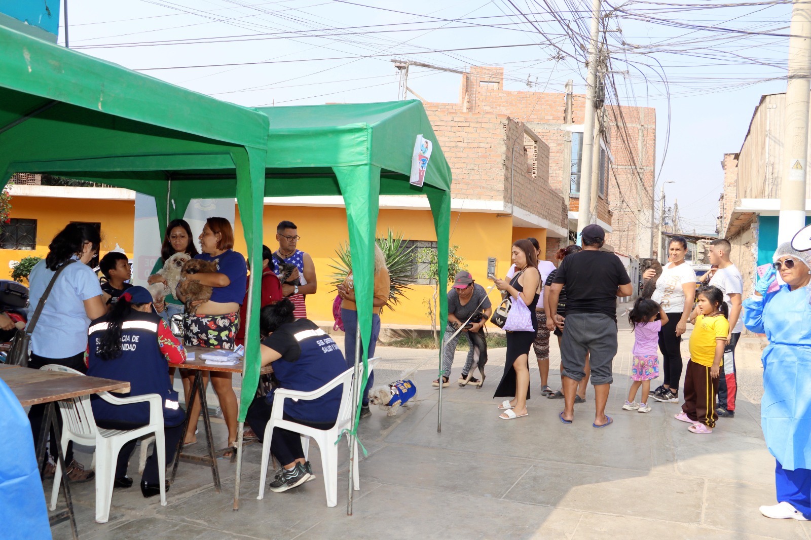 Con éxito se desarrolló la II Campaña de Bienestar, Salud y Registro Animal en Huaral