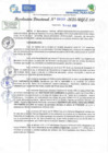 Vista preliminar de documento RD N 00593