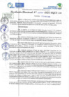 Vista preliminar de documento RD N 00594