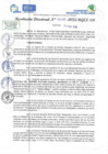 Vista preliminar de documento RD N 00597
