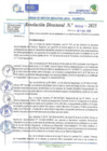 Vista preliminar de documento RD N 00598