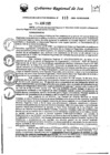 Vista preliminar de documento rer-112-2025-gore-ica-gr