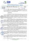 Vista preliminar de documento RD N 00603