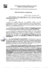 Vista preliminar de documento GDE-119-25