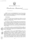 Vista preliminar de documento RM N° 132-2025-MINEM-DM