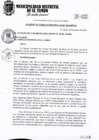 Vista preliminar de documento ACM007-2019