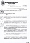 Vista preliminar de documento ACM029-2019