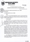 Vista preliminar de documento ACM028-2019