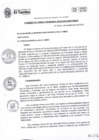 Vista preliminar de documento ACM075-2019