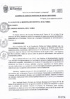 Vista preliminar de documento ACM084-2019
