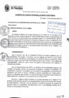 Vista preliminar de documento ACM095-2019