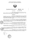 Vista preliminar de documento 2245