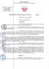 Vista preliminar de documento RD N 00619