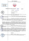 Vista preliminar de documento RD N 00620