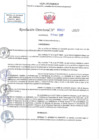 Vista preliminar de documento RD N 00627