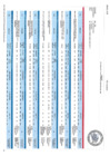 Vista preliminar de documento REPORTE DE SEGUIMIENTO PEI-2021
