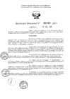 Vista preliminar de documento 2263