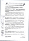 Vista preliminar de documento 0113-2025RG