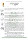 Vista preliminar de documento RG 111-2025-GM-MDT