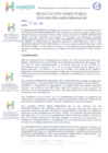 Vista preliminar de documento R.D.Nº. 062-2025 Lineamientos para la Contratación de Bienes y Servicio