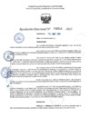 Vista preliminar de documento RD 0514-2025 NX