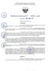 Vista preliminar de documento RD 0515-2025 NX