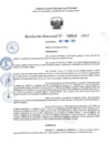 Vista preliminar de documento RD 0524-2025 NX