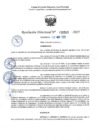 Vista preliminar de documento RD 0525-2025 NX